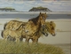 Gallery Item 9
